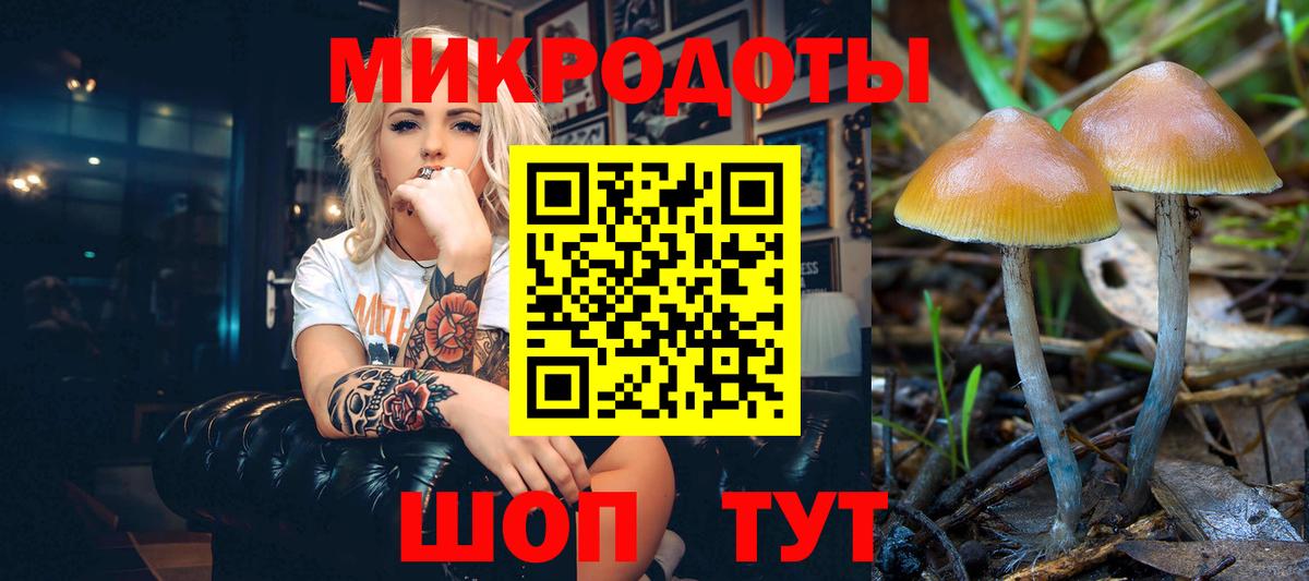 хочу   Вход с VPN  Курганинск  Галлюциногенные грибы ЛСД 